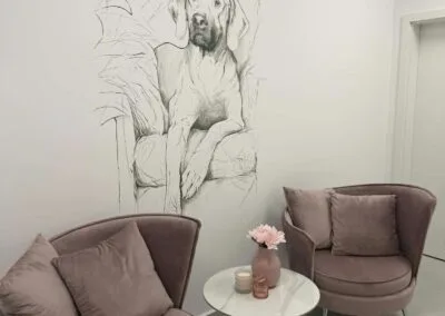 Фото догляду за собакою в салоні Dog Soul 2