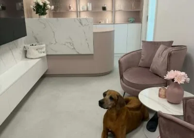 Фото догляду за собакою в салоні Dog Soul 18